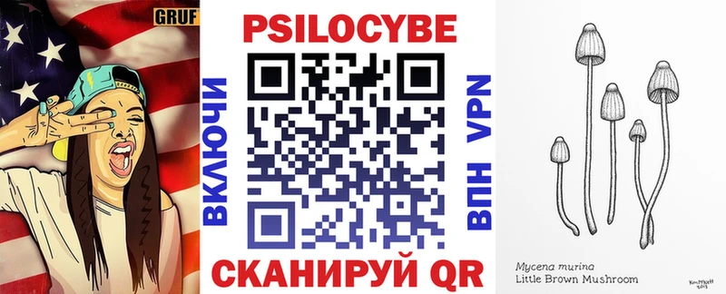 Купить где  Фокино  Галлюциногенные грибы мицелий 