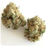 Шишки "White Widow"  (Белая вдова)  Гидропоника -  Бошка VHQ в Фокино