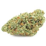 Шишки OG Kush  (Гидропоника, бошки) VHQ в Фокино